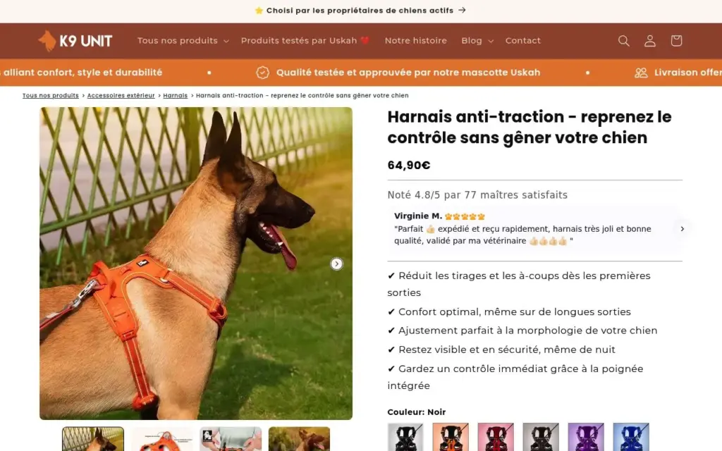 Apercu du site K9 Unit